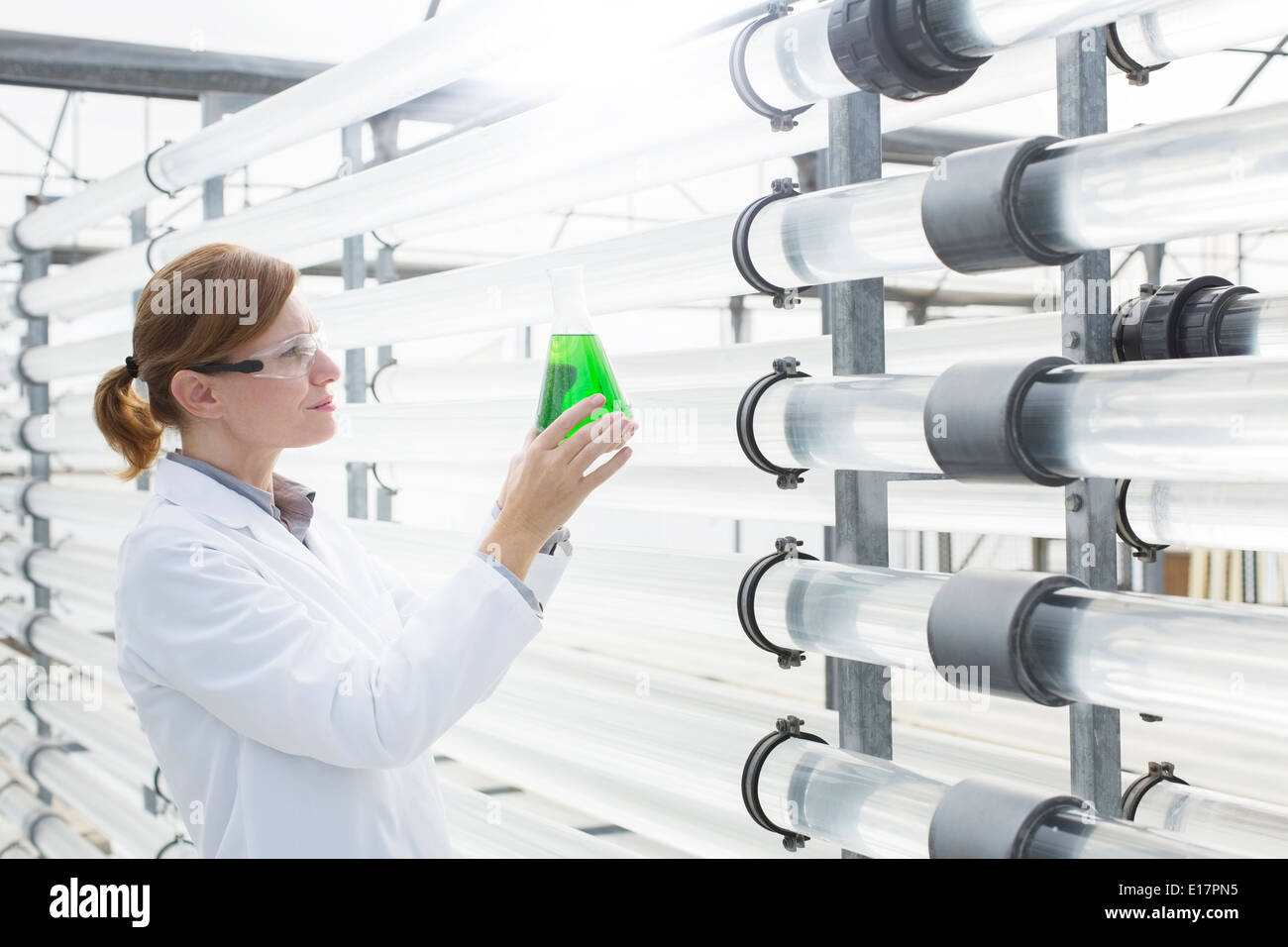 Scientist with beaker in greenhouse Stock Photo