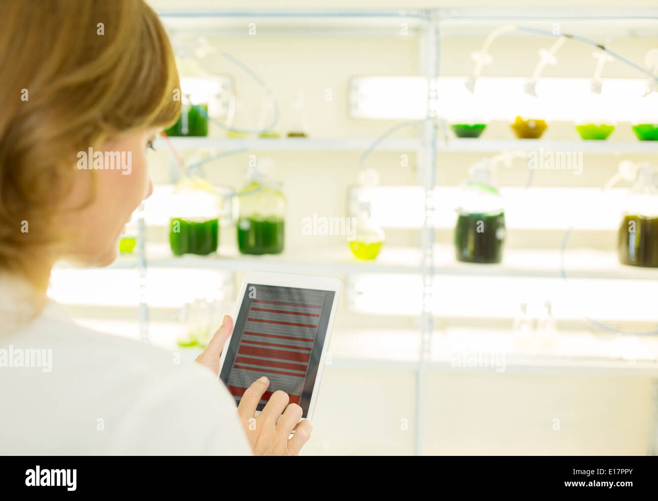 Scientist using digital tablet in laboratory Stock Photo