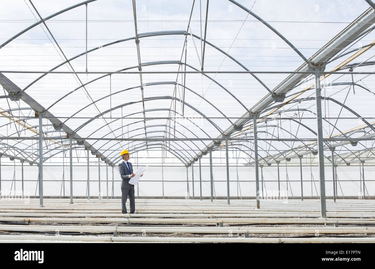 Architect with blueprint in empty greenhouse Stock Photo