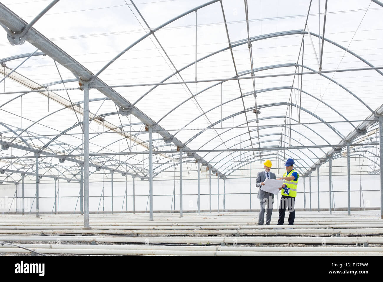 Architect and engineer reviewing blueprint in empty greenhouse Stock Photo