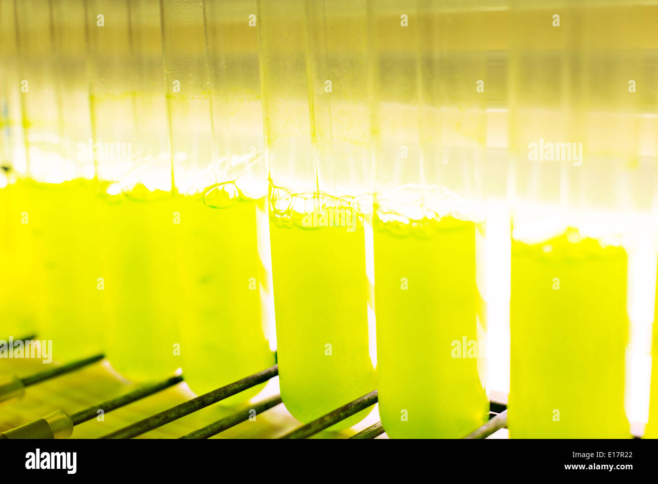 Close up of green liquid in test tubes Stock Photo