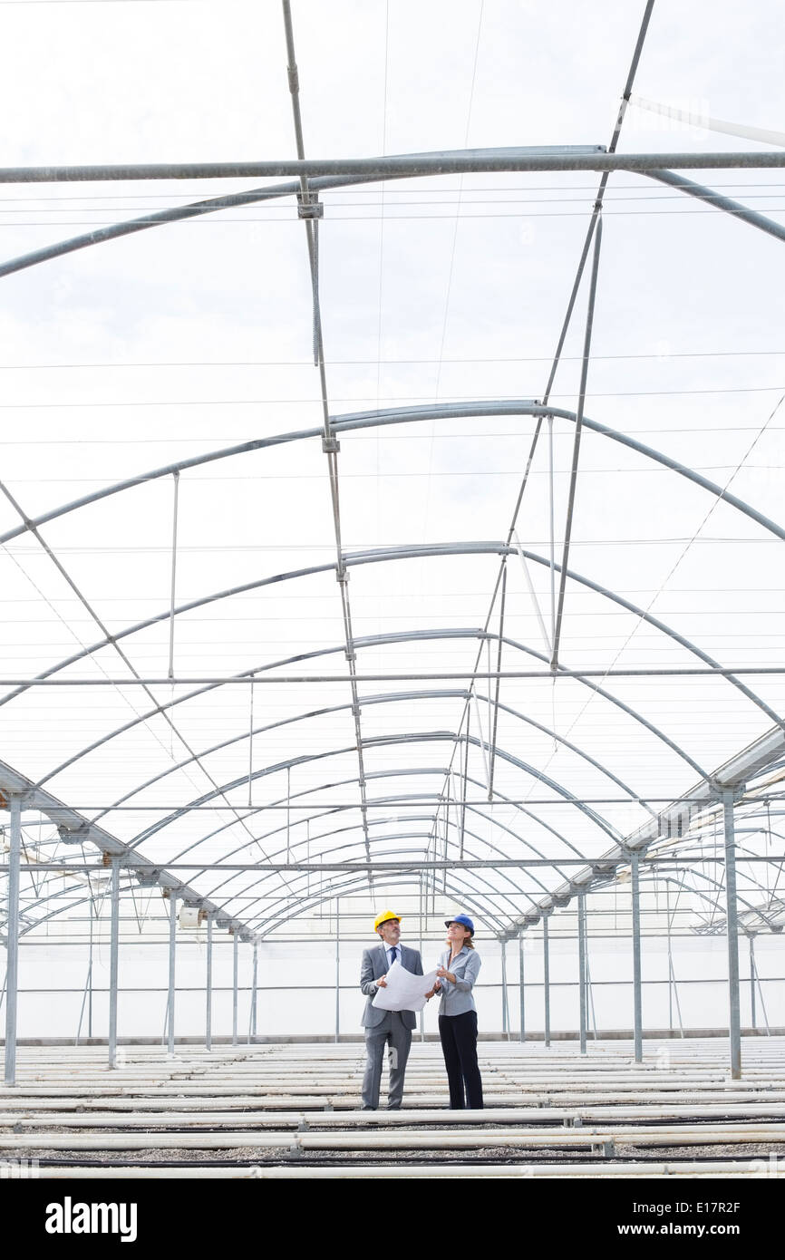 Architect and businesswoman reviewing blueprint in empty greenhouse Stock Photo