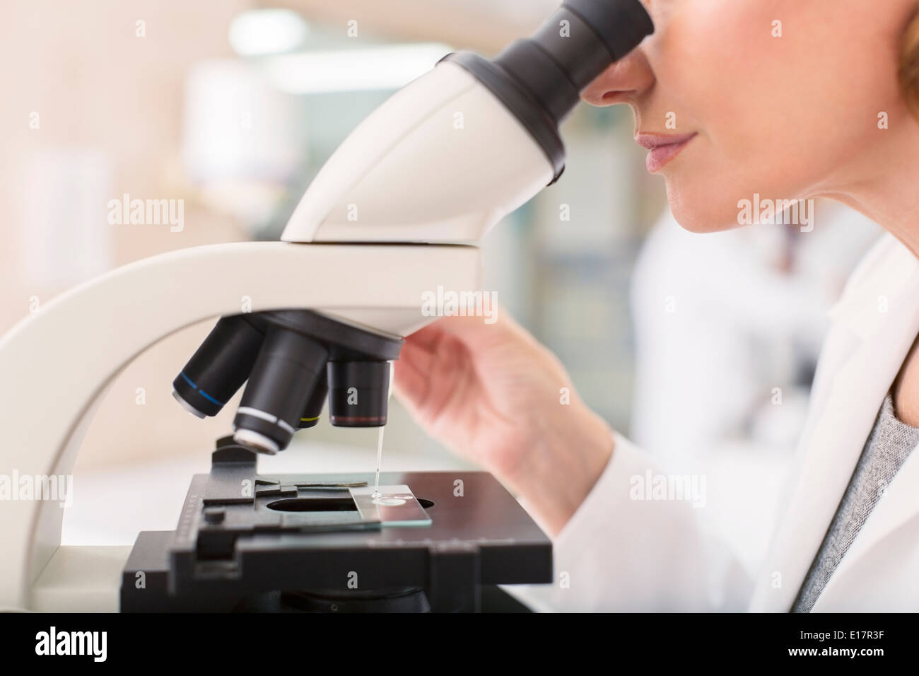 Scientist using microscope in laboratory Stock Photo