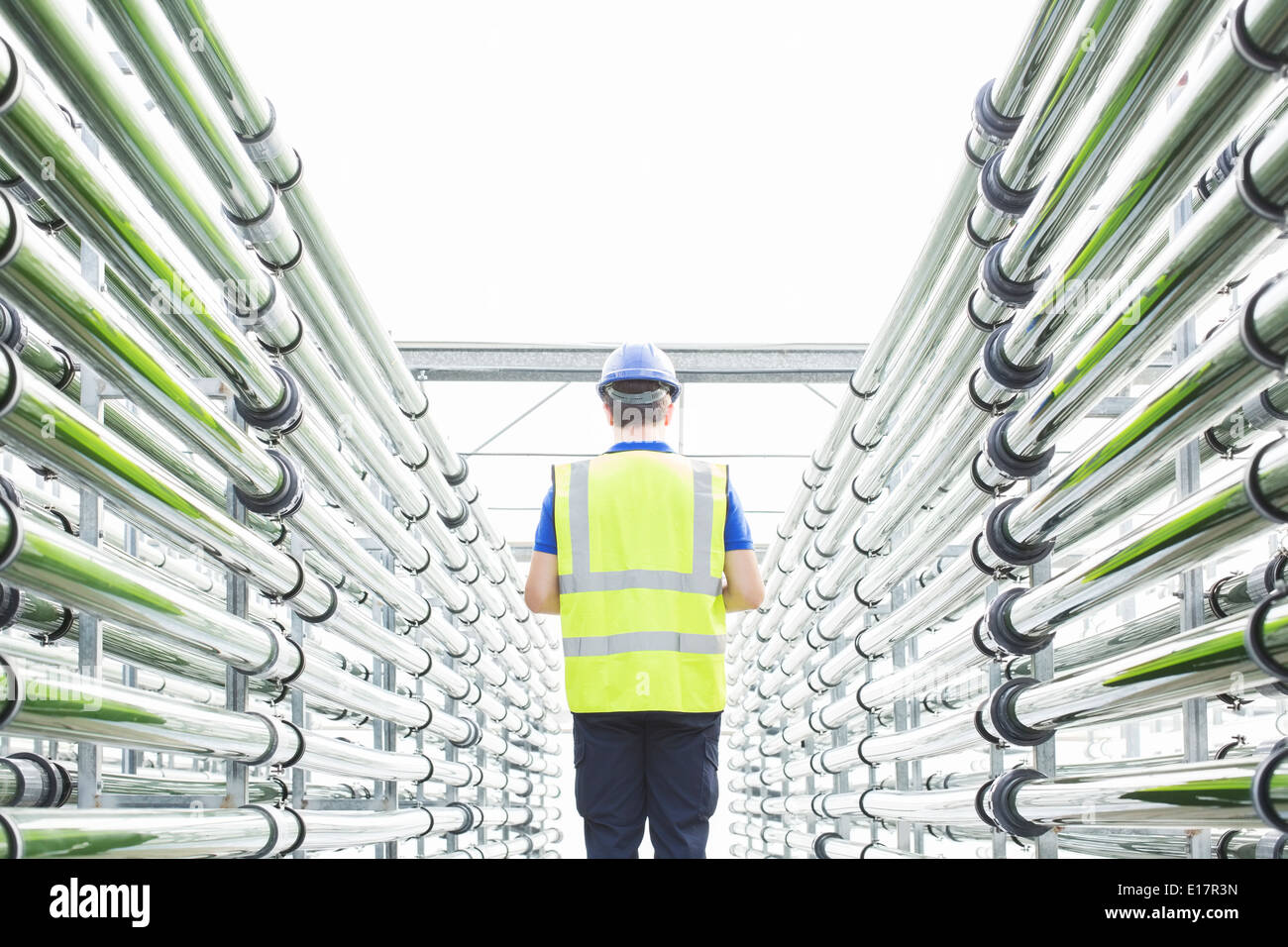 Engineer among irrigation pipes in greenhouse Stock Photo