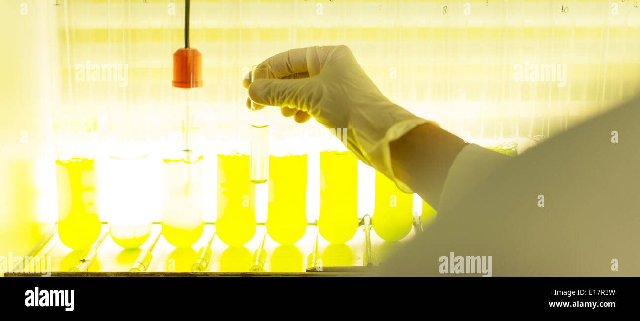 Scientist examining test tubes with green liquid Stock Photo