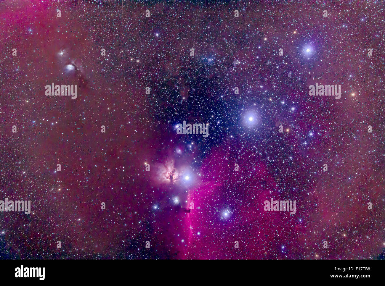The Belt of Orion with the Horsehead Nebula at botton, the dark nebula ...