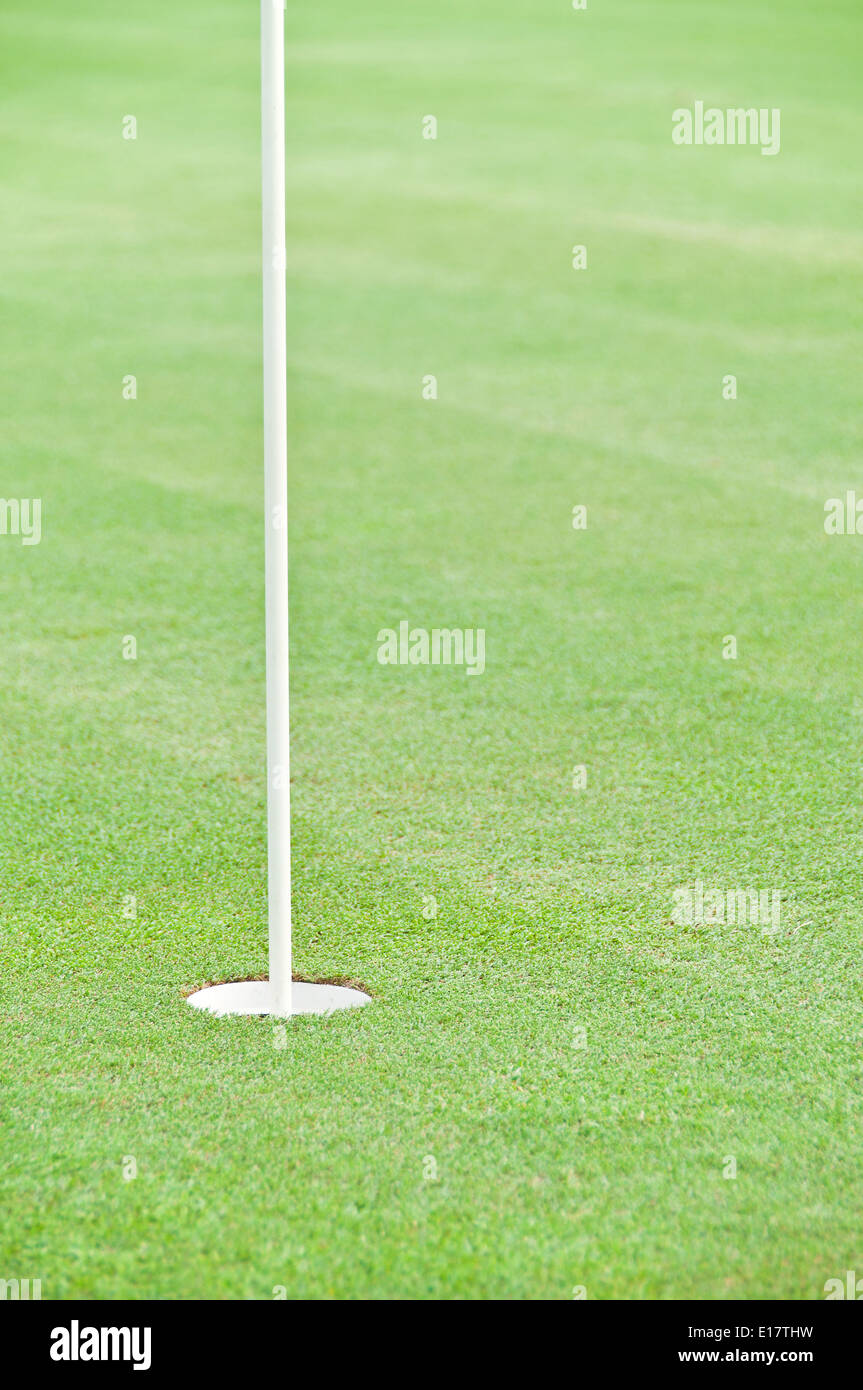 Golf hole with flag stick Stock Photo Alamy