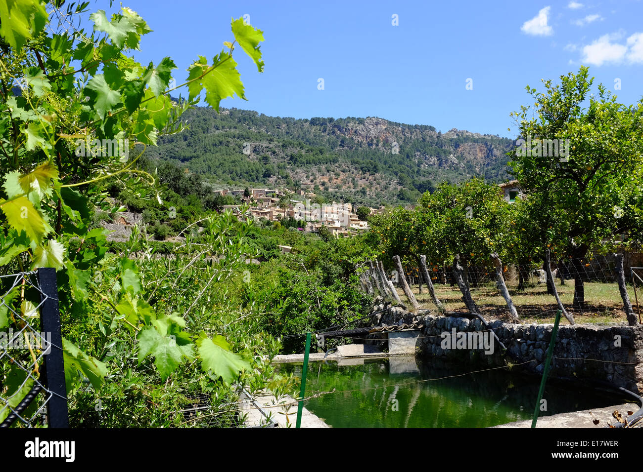 Fornalutx village is nestled in the UNESCO world heritage site of  the Tramuntana mountains, Mallorca Stock Photo