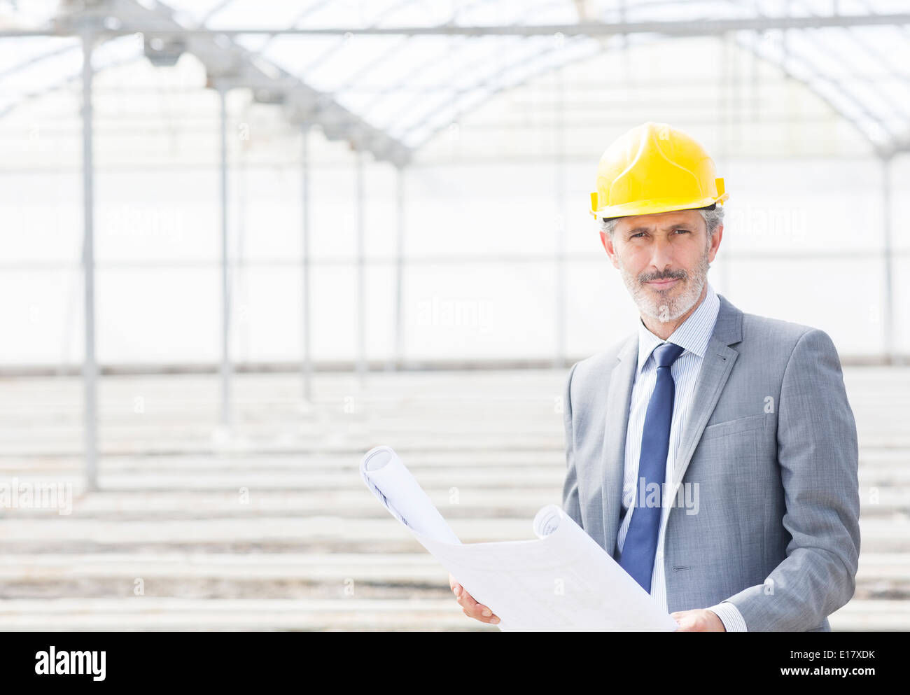 Portrait of confident architect with blueprint in greenhouse Stock Photo