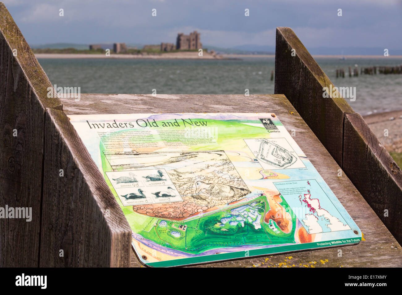 Looking towards Piel Island and Castle from South Walney, Cumbria, UK. Stock Photo