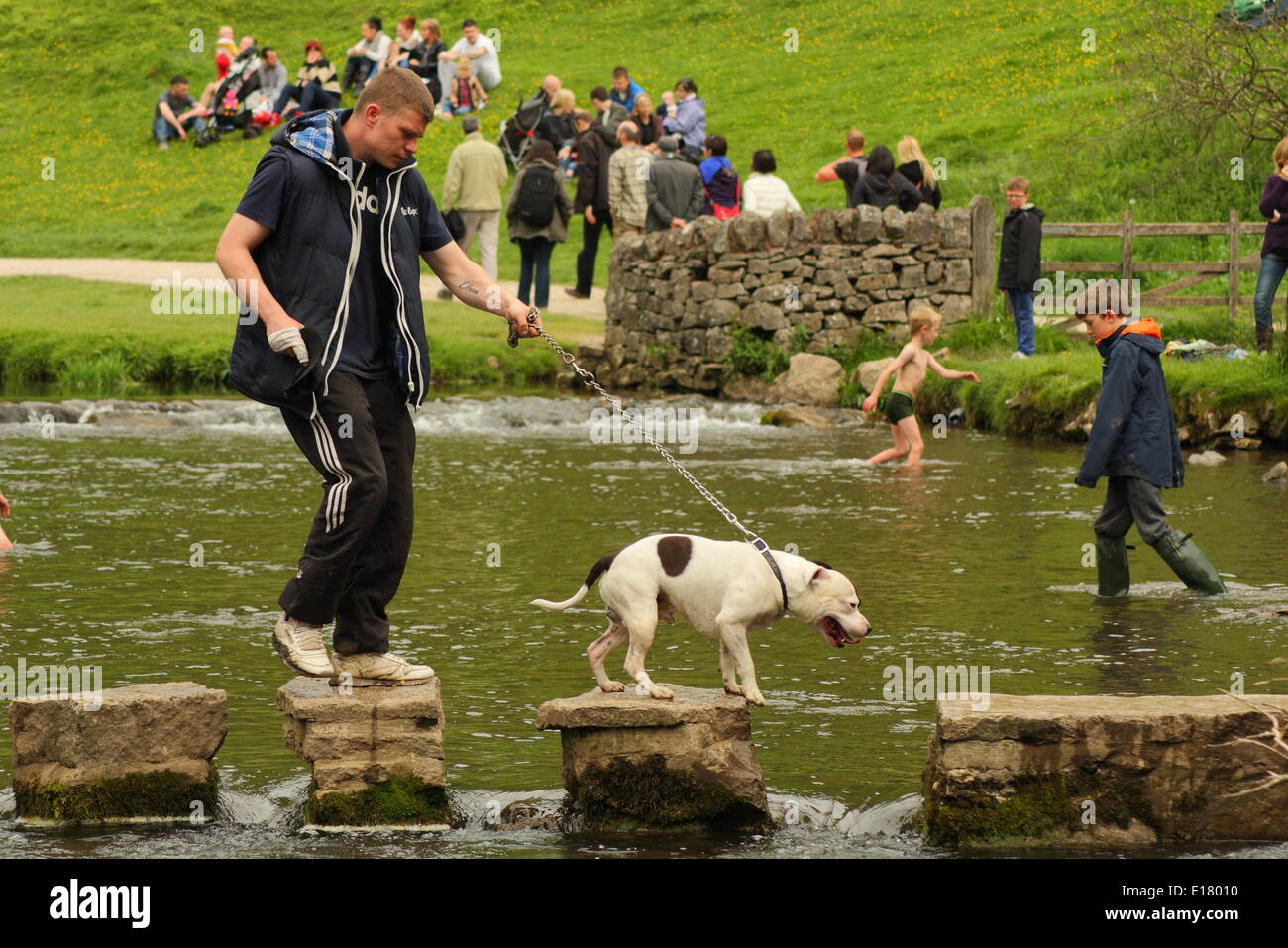 A family crosses the stepping stones of the River Dove at Dovedale in the Manifold Valley,Peak District, Derbyshire, England, UK Stock Photo