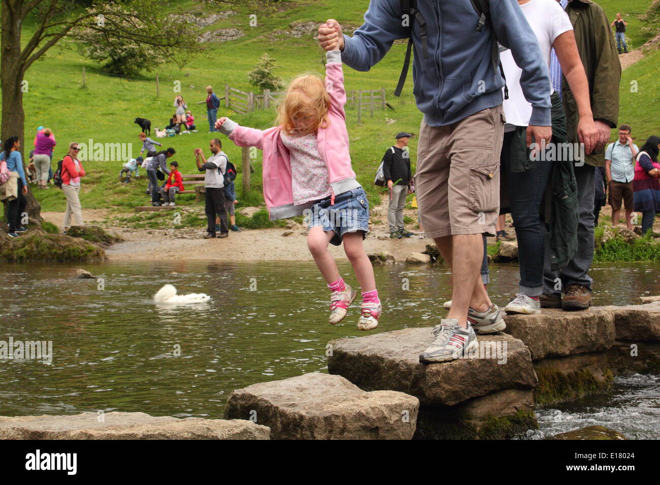 A family crosses the stepping stones of the River Dove at Dovedale in the Manifold Valley,Peak District, Derbyshire, England, UK Stock Photo