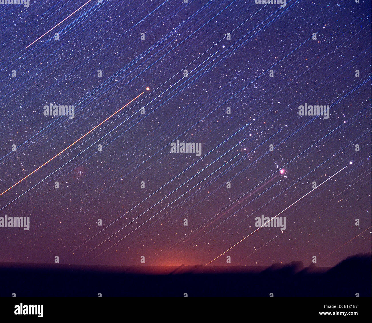 Orion Rising with trails 1 hour exposure at f/8 with camera untracked ...