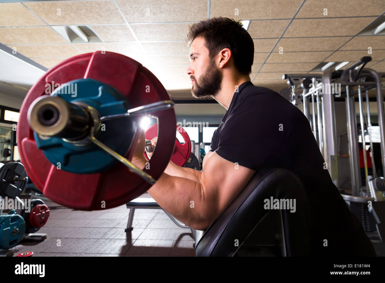 Biceps Preacher Bench Arm Curl Workout Man At Fitness Gym Stock