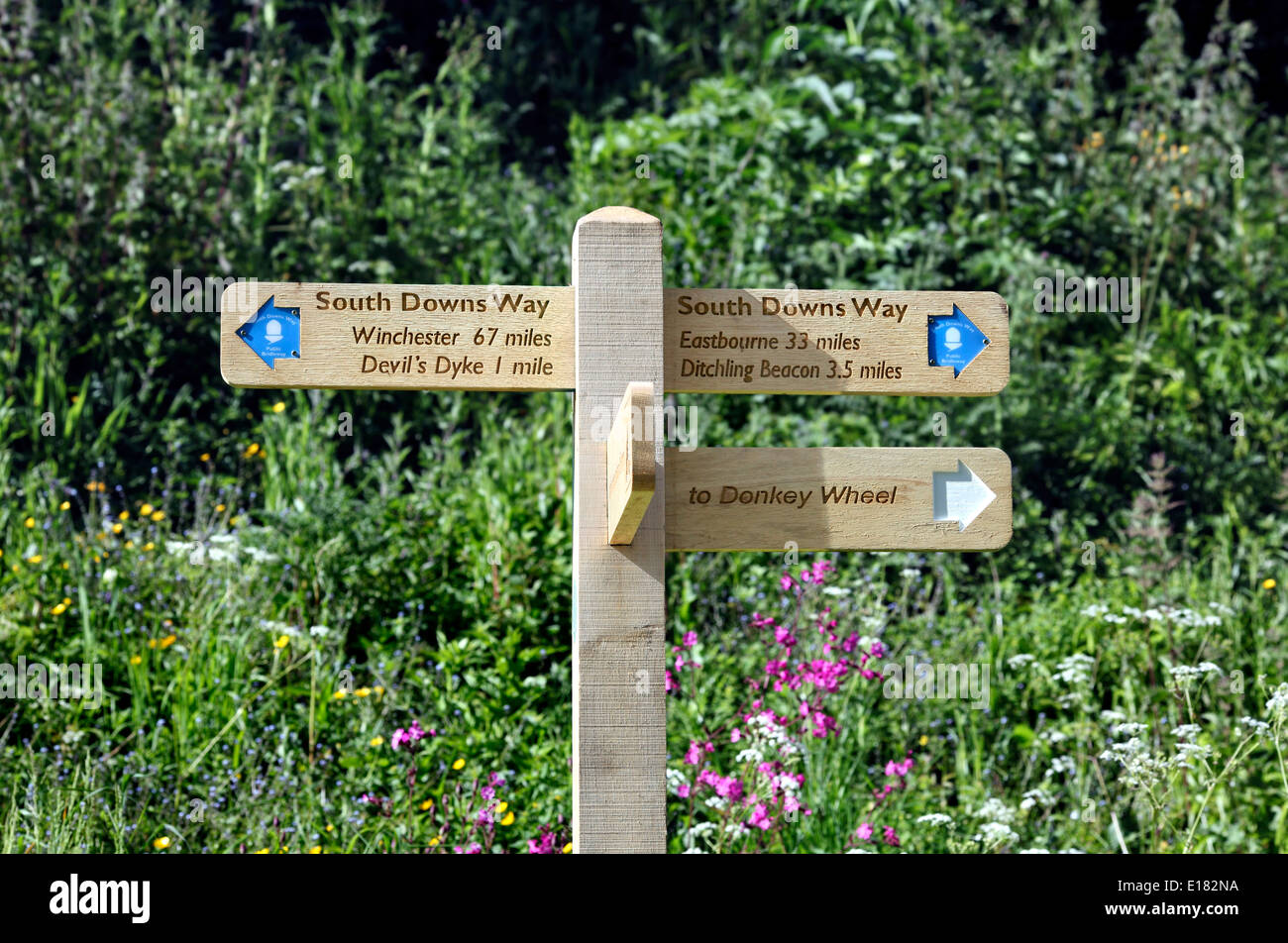 New (as at 2014) wooden direction sign on the South Downs Way at Saddlescombe, West Sussex. Stock Photo