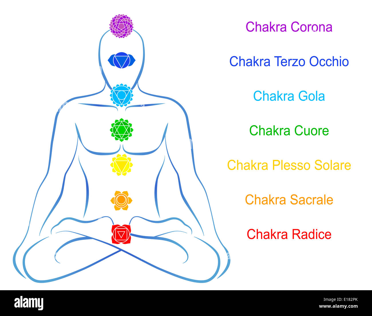 Les chakras - Pantalon yoga homme - 7 chakras