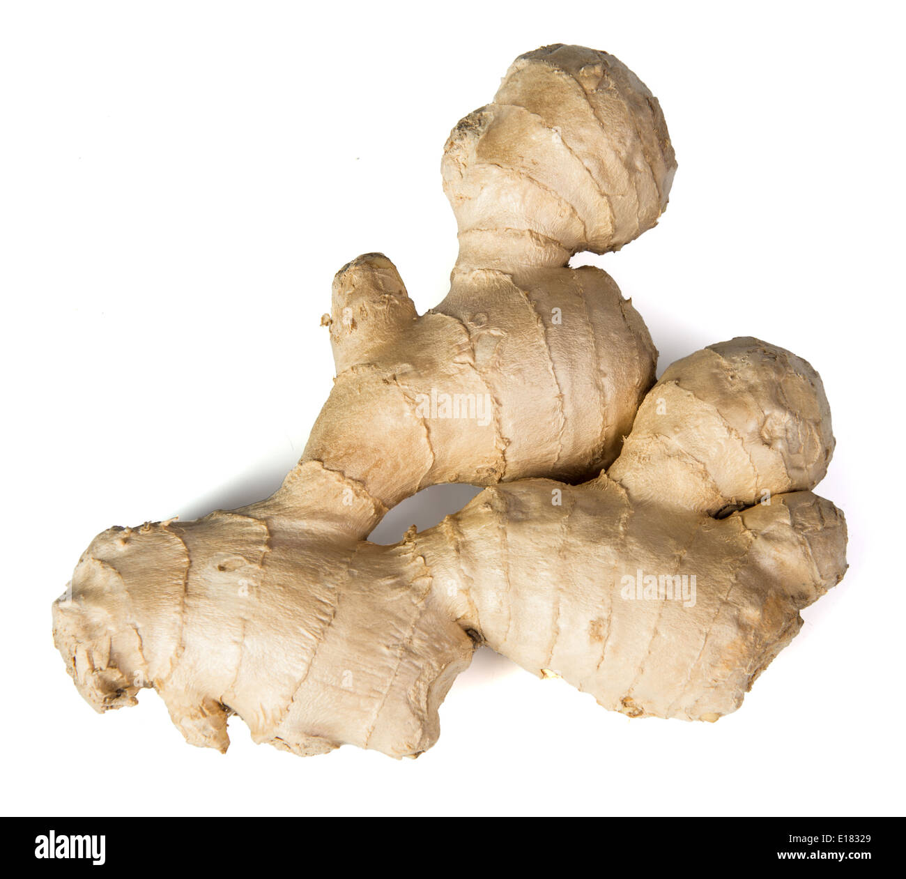 Chinese Ginger Plant Cut Out Stock Images And Pictures Alamy