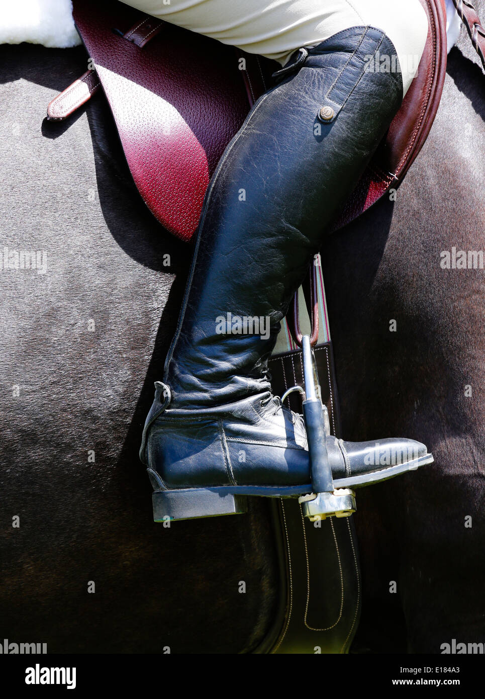 Stirrups hires stock photography and images Alamy