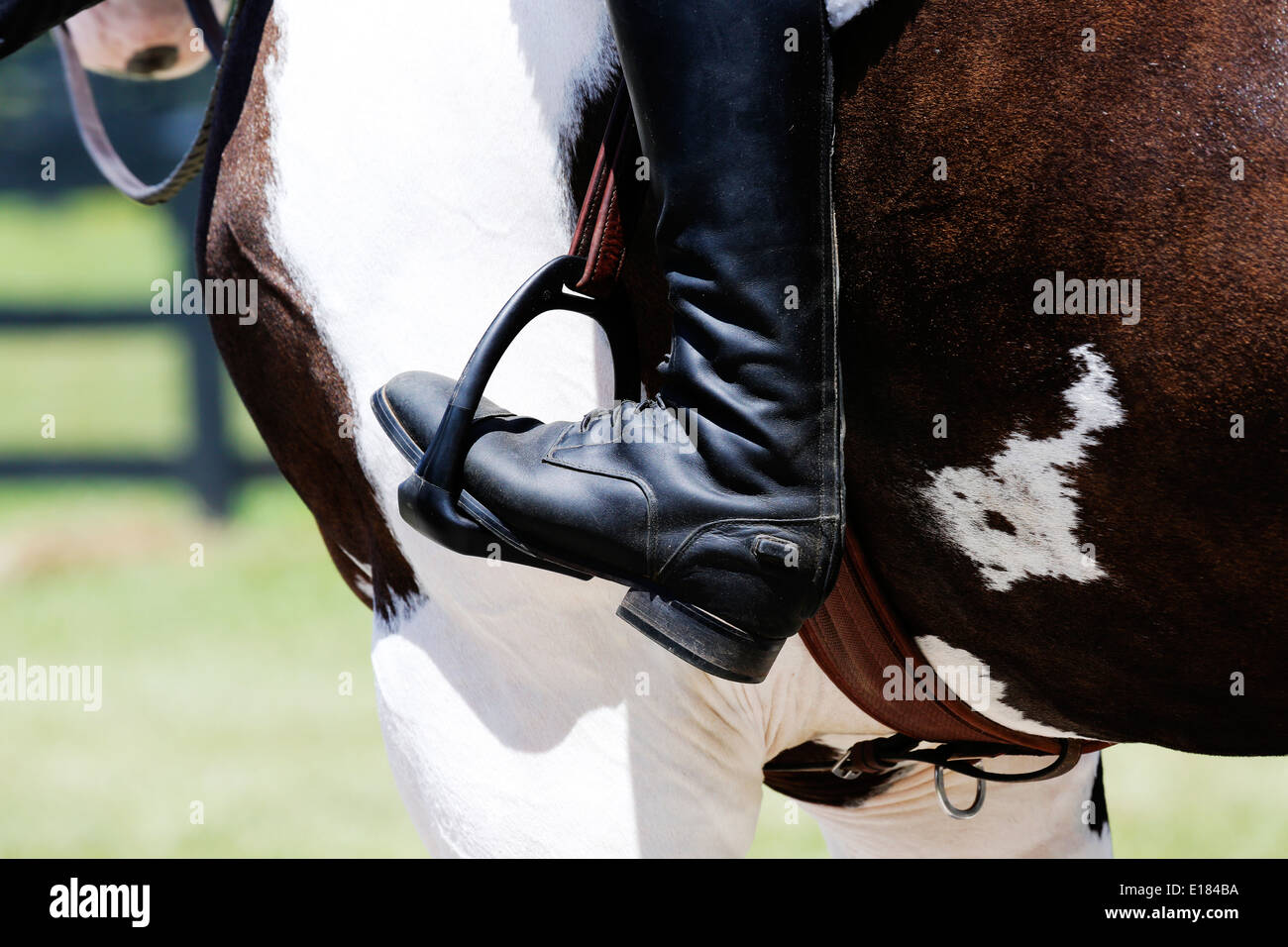Stirrups hires stock photography and images Alamy