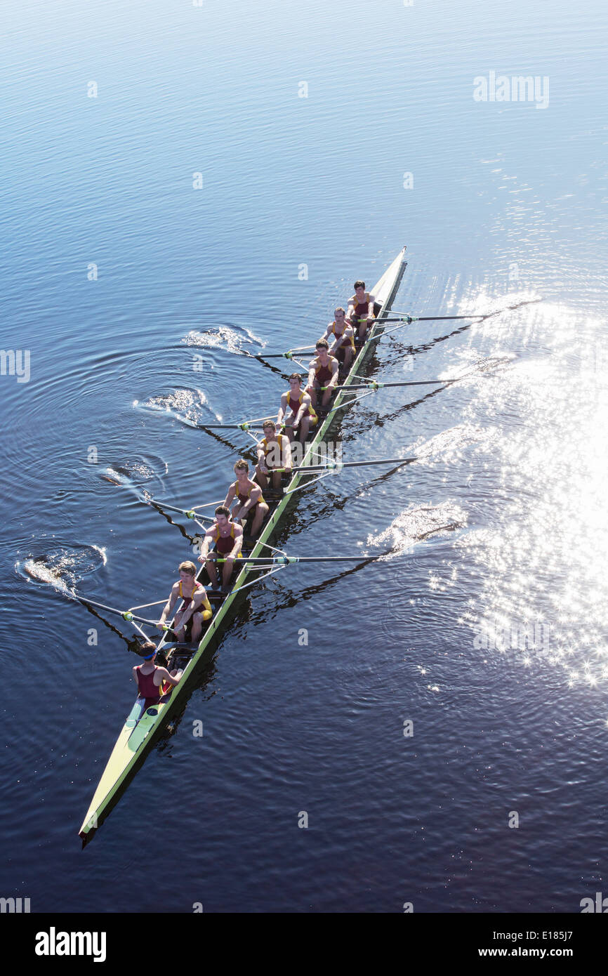 Rowing team rowing scull on lake Stock Photo