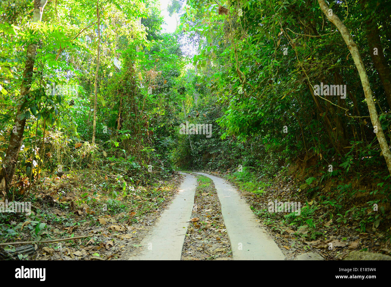 Rural dirt path winding hi res stock photography and images Alamy
