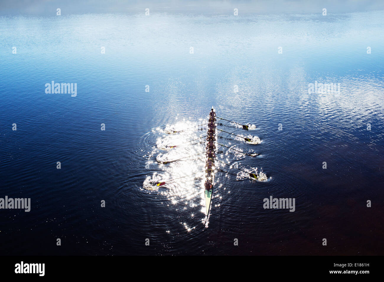 Rowing team rowing scull on lake Stock Photo