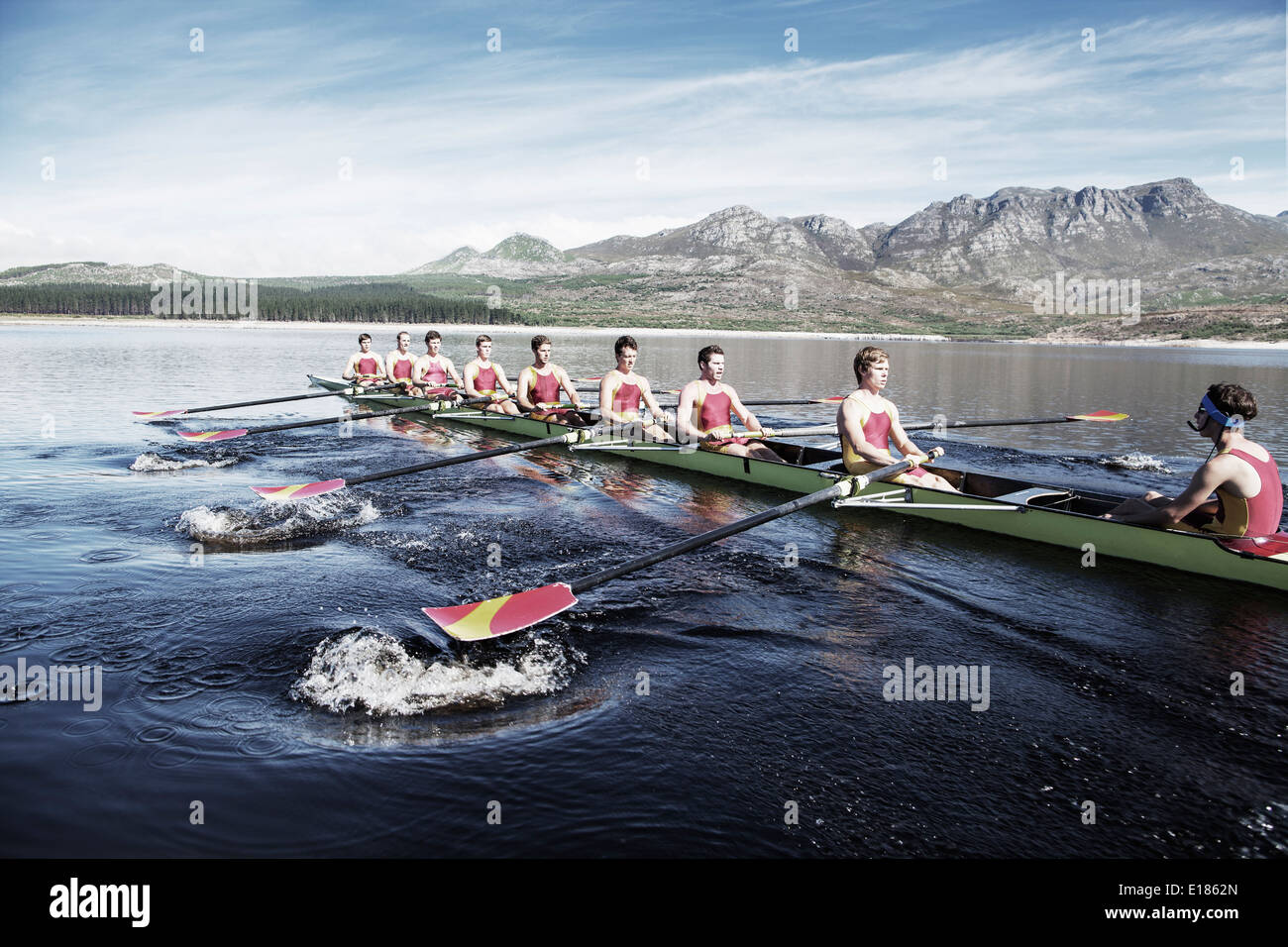 Rowing team rowing scull on lake Stock Photo Alamy