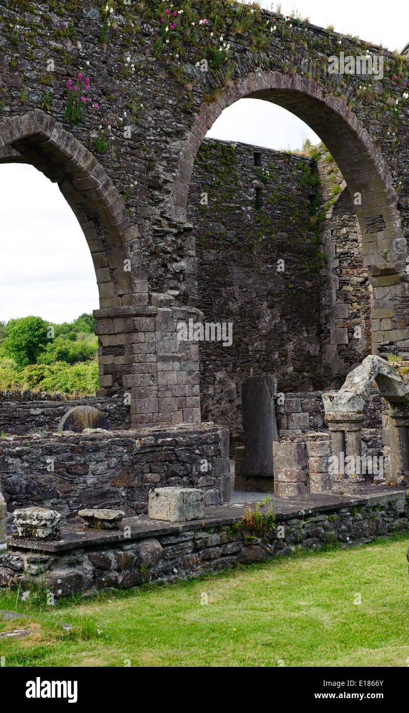 Ruins of the Cistercian Abbey at Baltinglass Stock Photo - Alamy