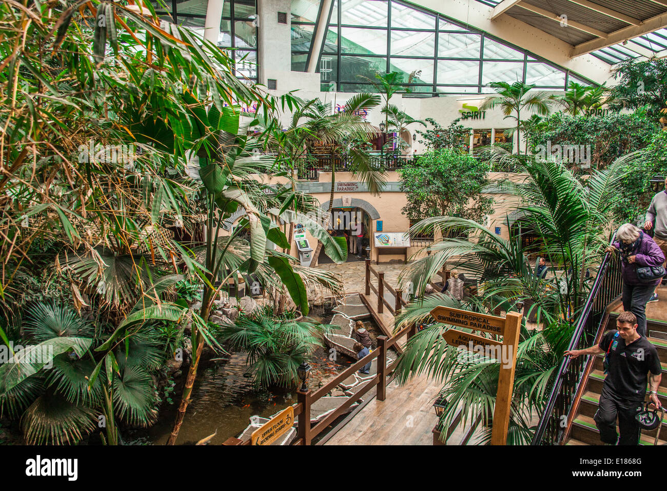The subtropical Plaza, Centre parcs, Longleat, Wiltshire, England