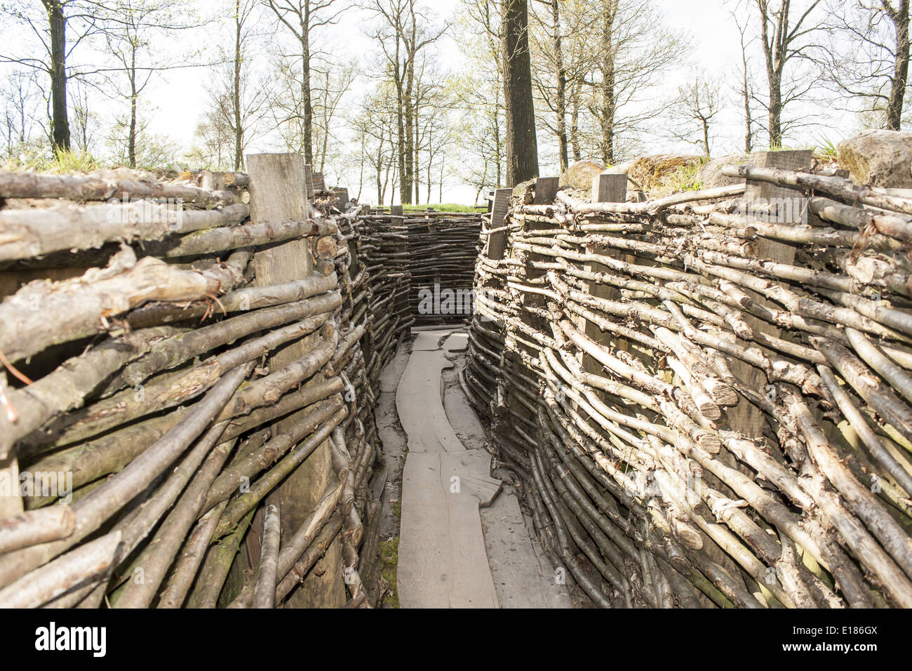 Bayernwald wooden trench of world war 1 Stock Photo - Alamy