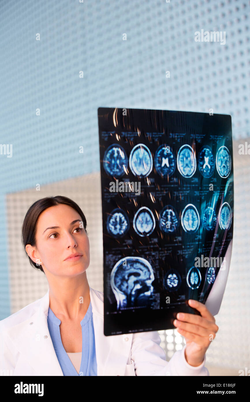 Doctor examining brain scan Stock Photo