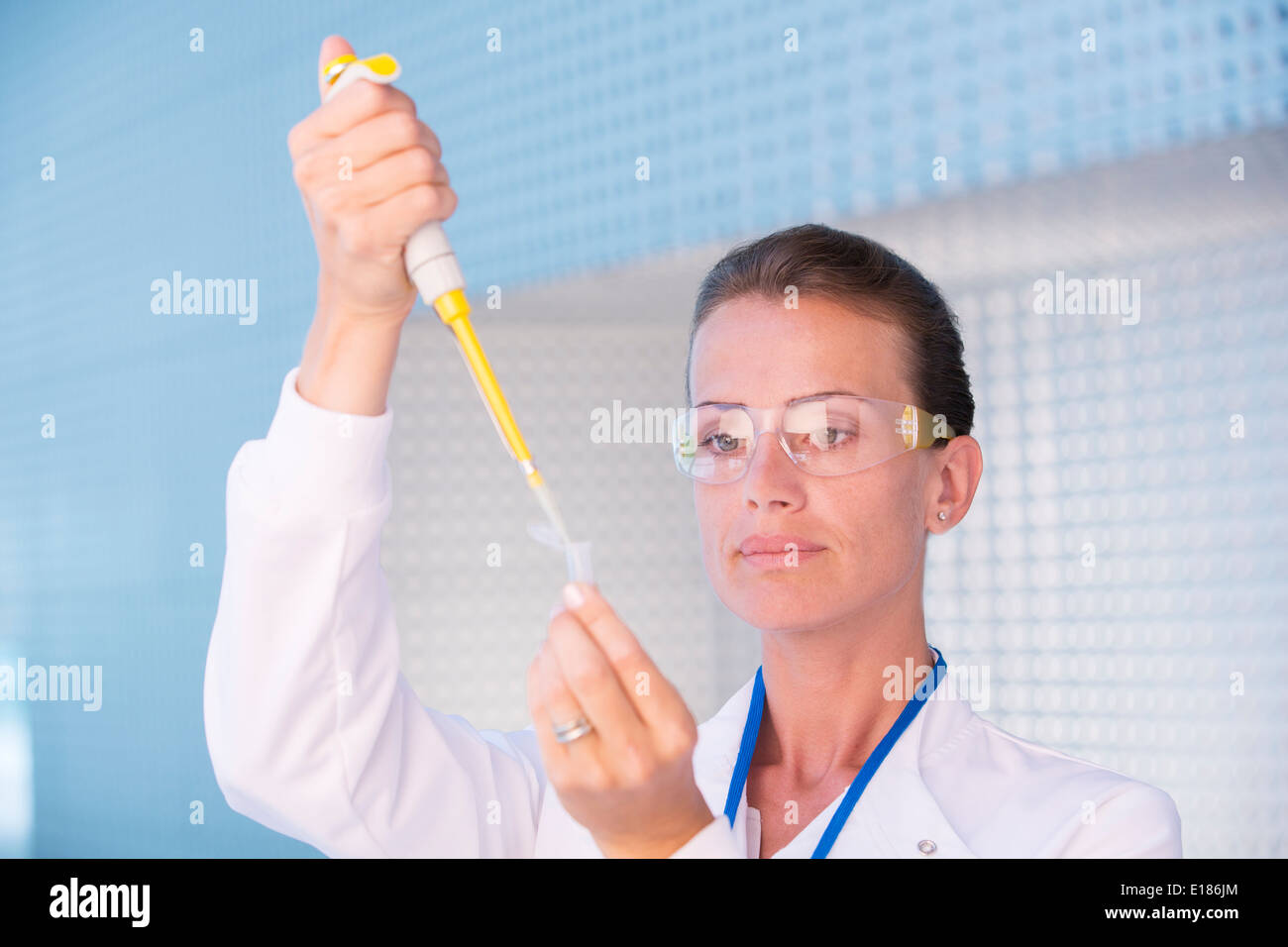 Scientist using pipette Stock Photo
