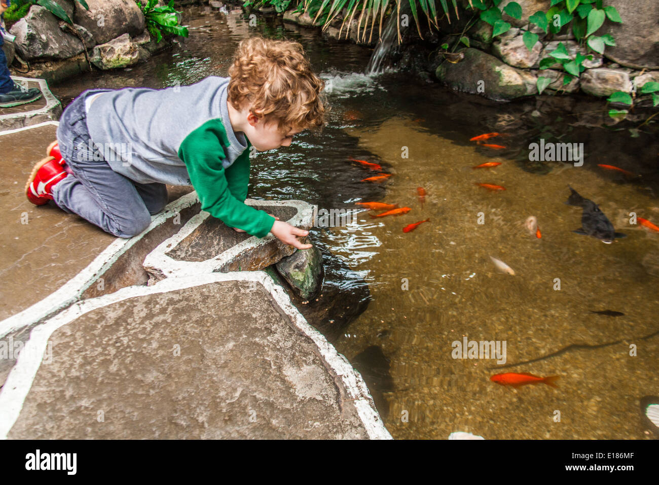 Are Dogs Allowed At Centre Parcs Longleat