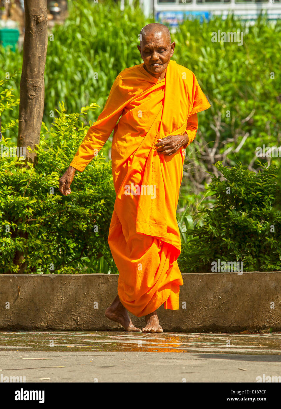 Female buddhist monk barefoot in orange cloth Stock Photo