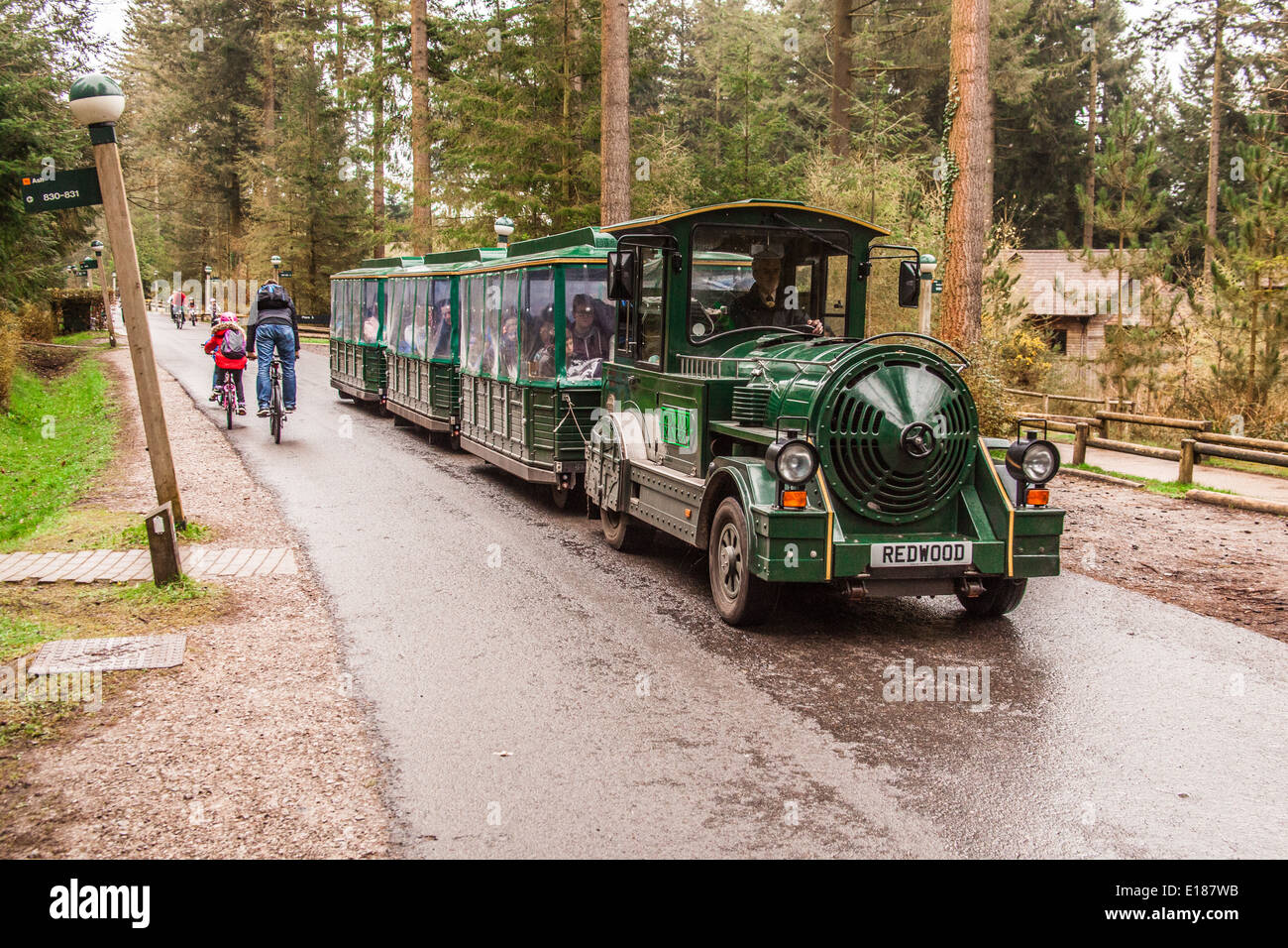 The land train at Center Parcs , Longleat, Wiltshire, England, United