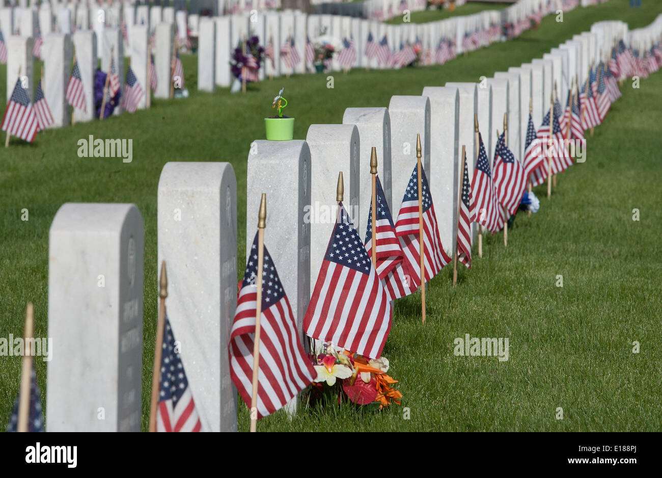 National Poppy Day® is Friday, May 26, 2023 – The Bloomingtonian