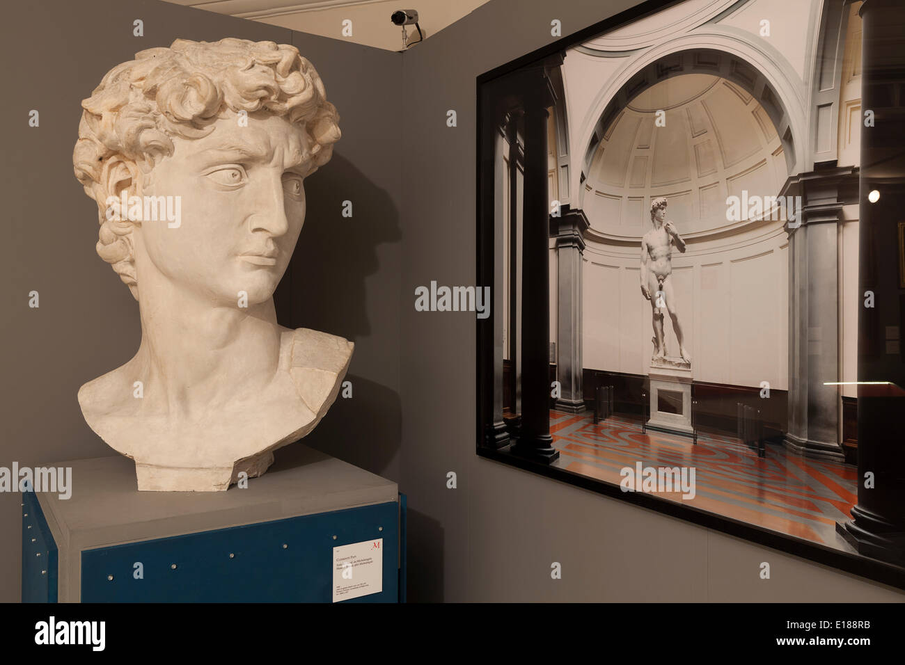 Plaster cast of the head of the statue of David by Michelangelo Stock