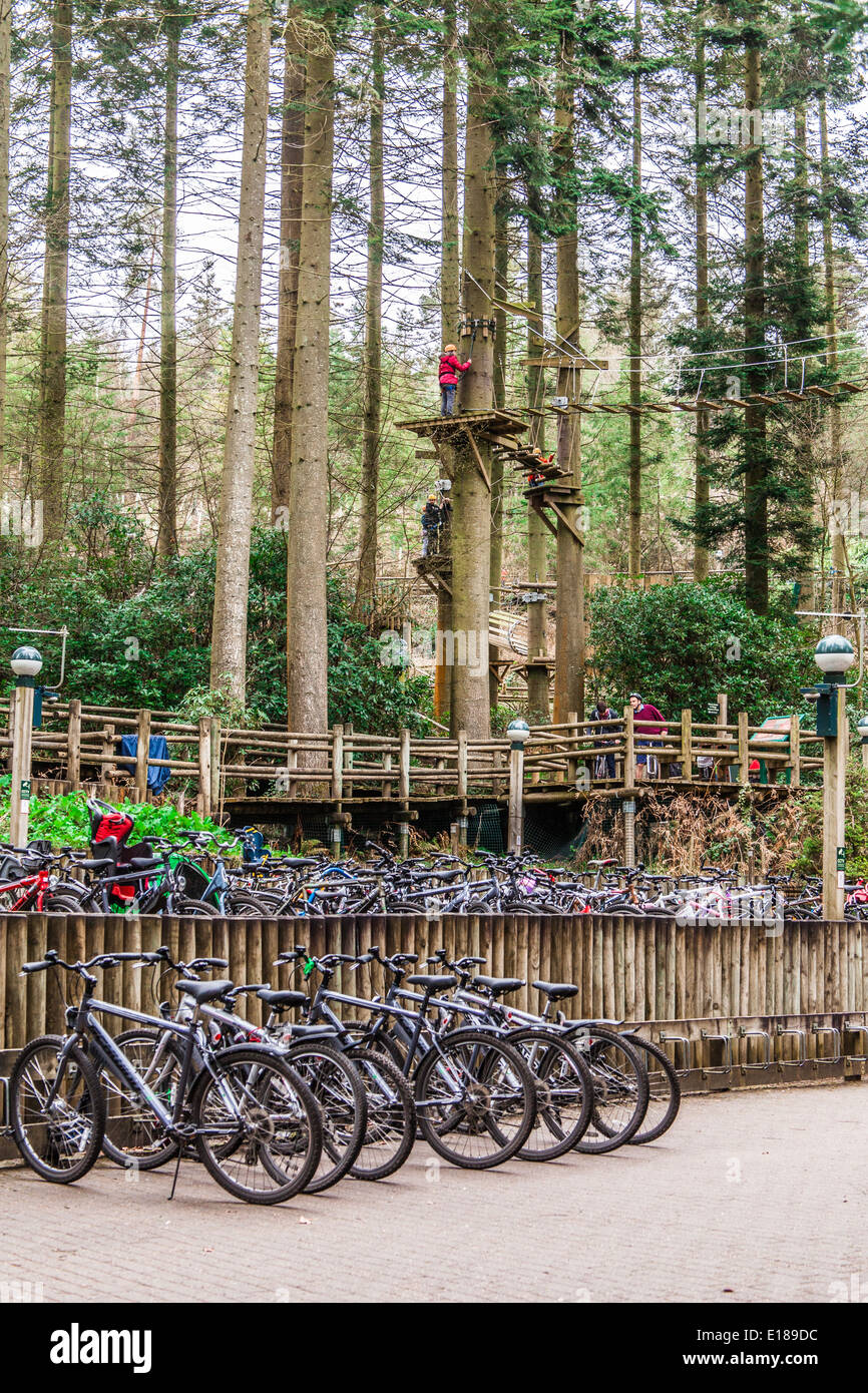Bicycle parking at Centre Parcs Longleat, Witshire, England, United