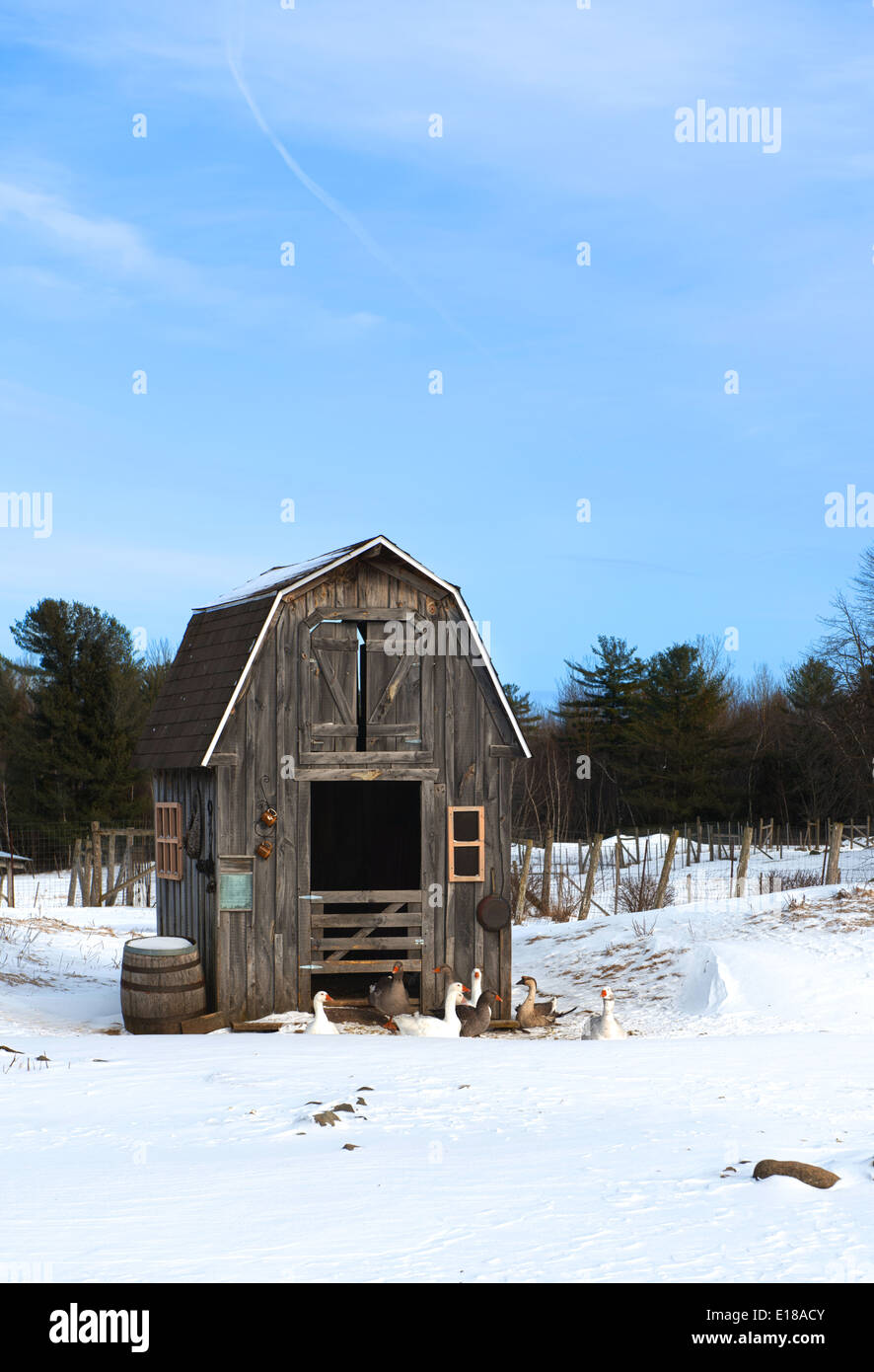 Wooden duck House with snow Stock Photo