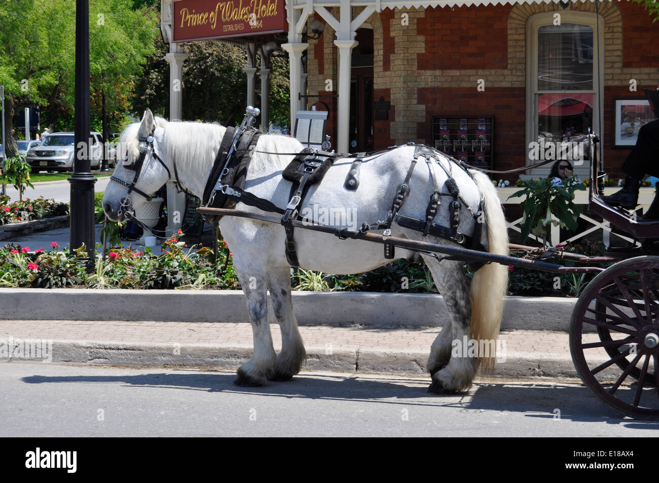 Horse pulling wagon hires stock photography and images Alamy
