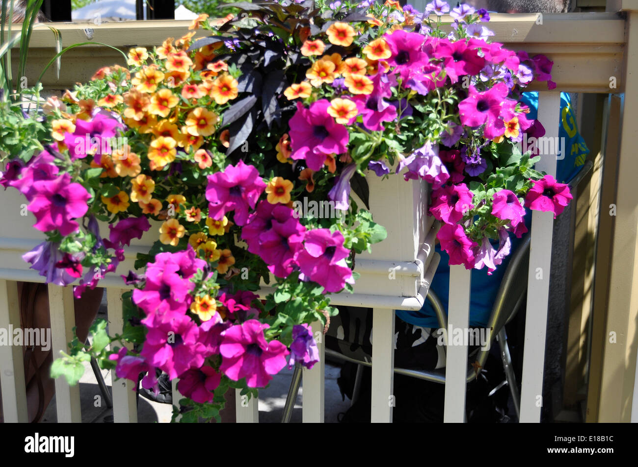 Niagara on the Lake flower box Stock Photo Alamy
