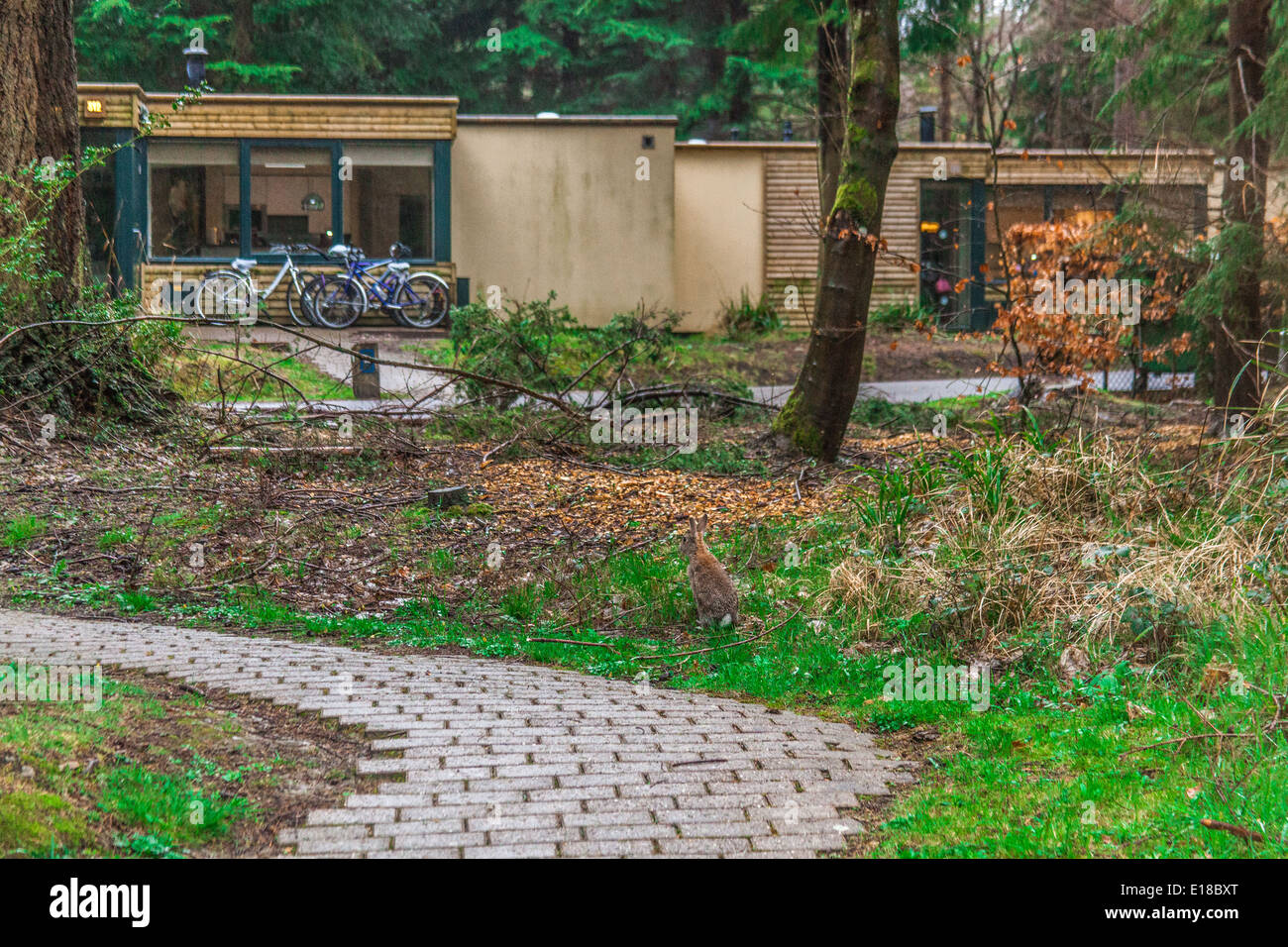 Accommodation villa at Center Parcs, Longleat, Wiltshire, England, United Kingdom. Stock Photo