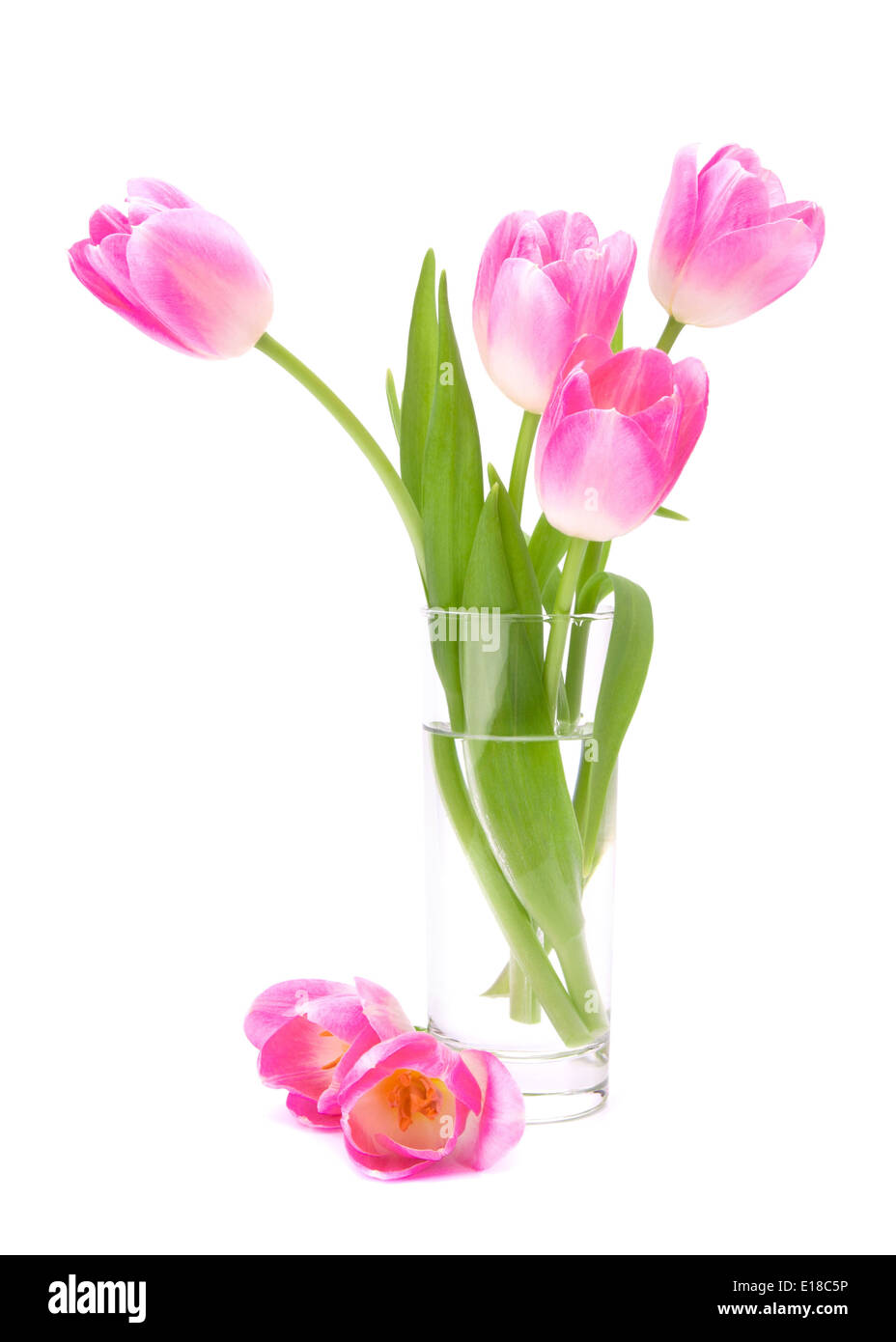 Pink tulips bouquet in vase isolated on white background Stock Photo ...