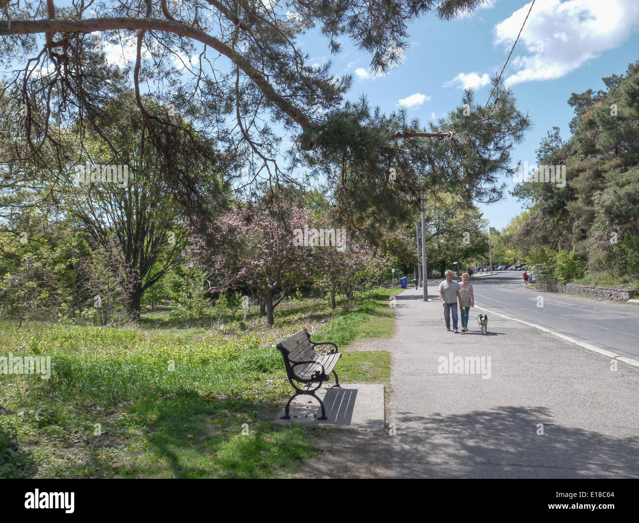 Toronto park hi-res stock photography and images - Alamy