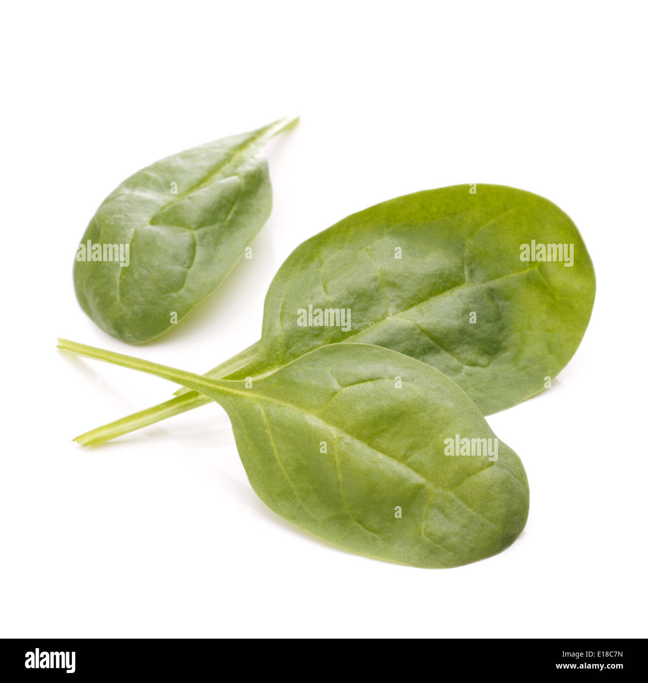 Spinach vegetables isolated on white background cutout Stock Photo - Alamy