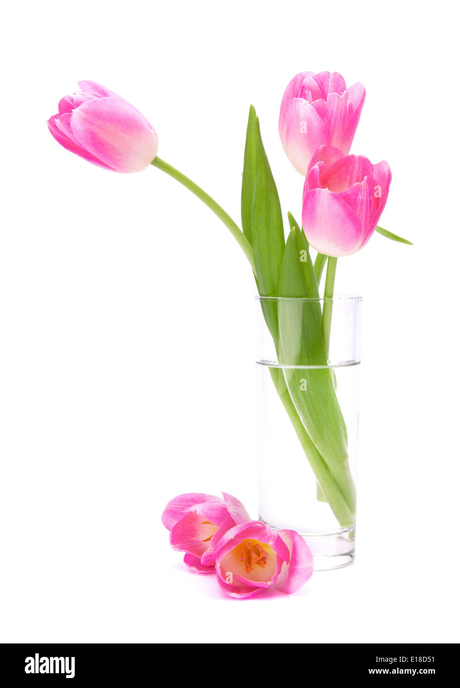 Pink tulips bouquet in vase isolated on white background Stock Photo ...