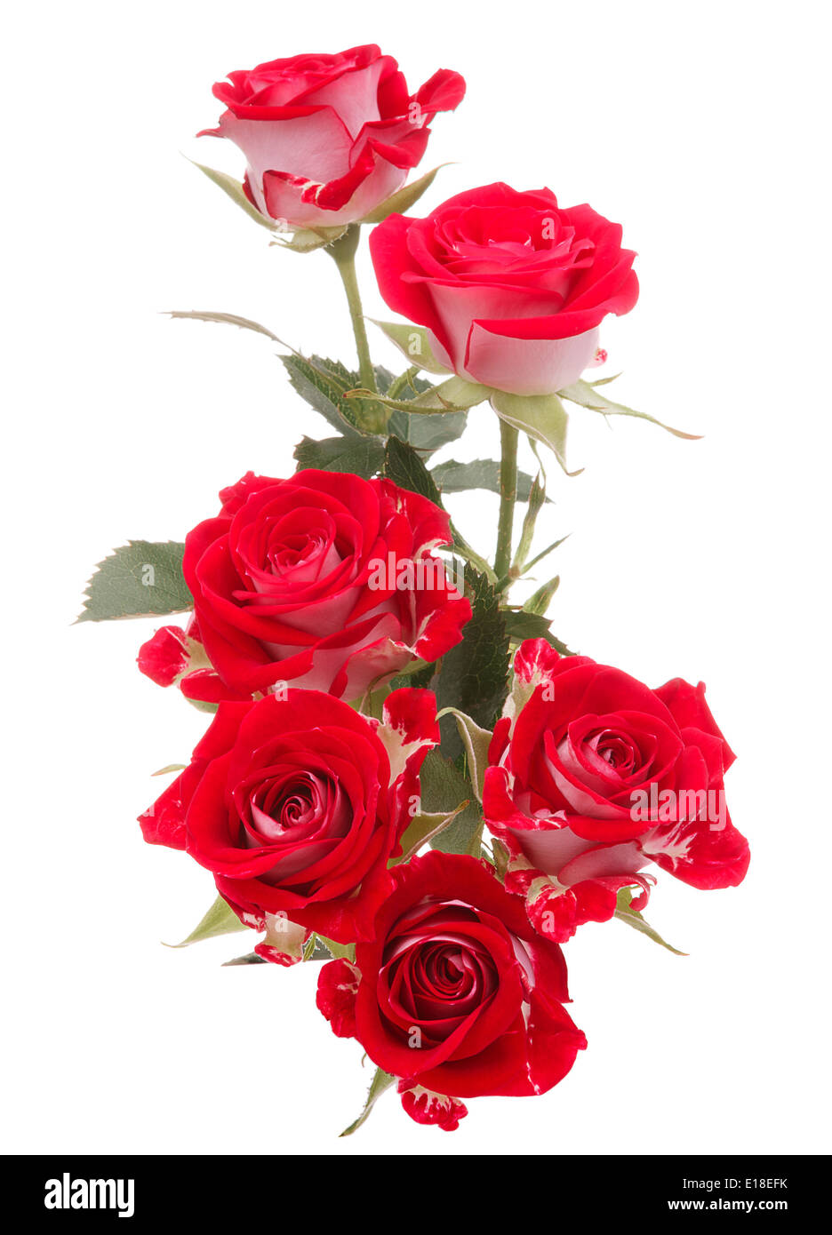 Red rose flower bouquet isolated on white background cutout Stock Photo Alamy