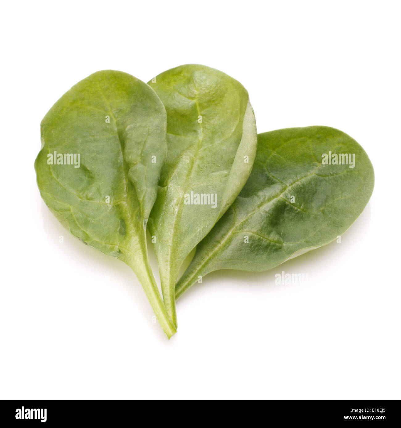 Spinach vegetables isolated on white background cutout Stock Photo - Alamy
