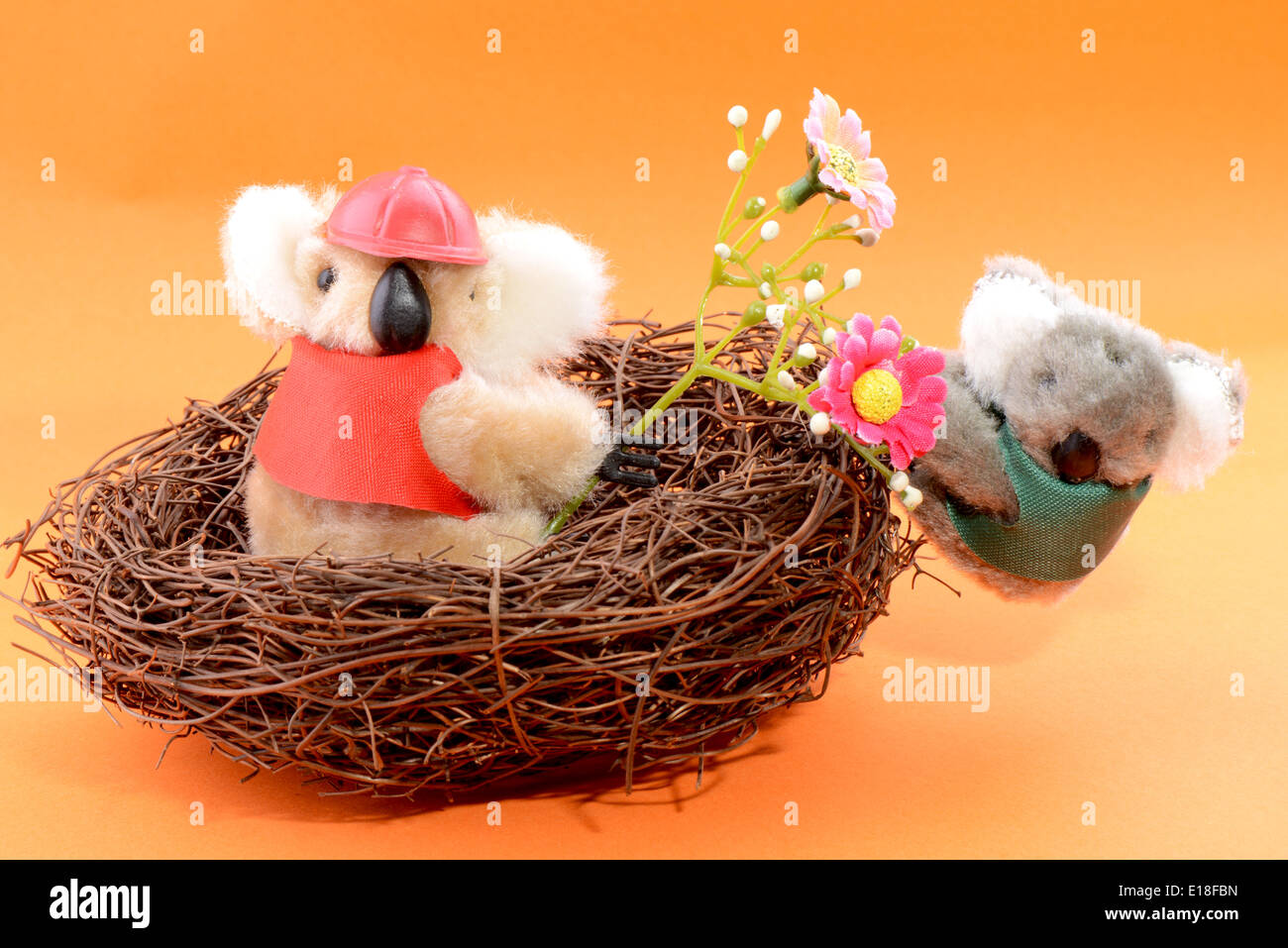 Nest with two Toy Koala on an orange background Stock Photo Alamy
