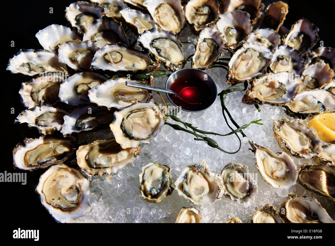 Купить Свежих Устриц С Доставкой